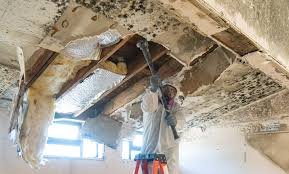 Best Industrial Mold Remediation in Thomaston, GA